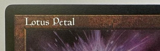 Lotus Petal - Tempest