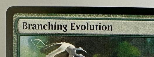 Branching Evolution - Jumpstart