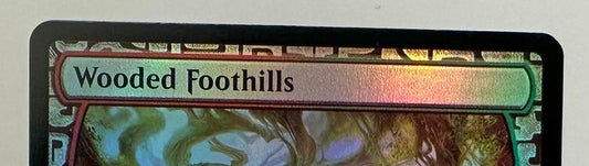 Wooded Foothills - Borderless Foil - Zendikar Expeditions